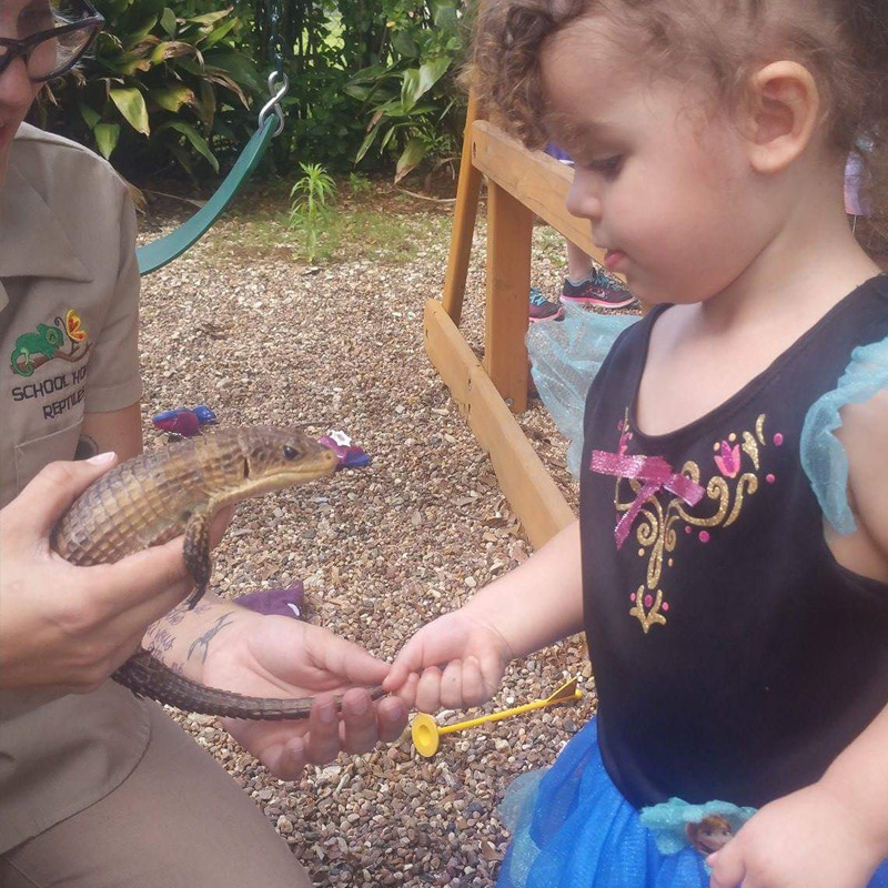 photo gallery image of Hands On Experience